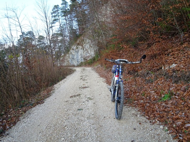 En forêt