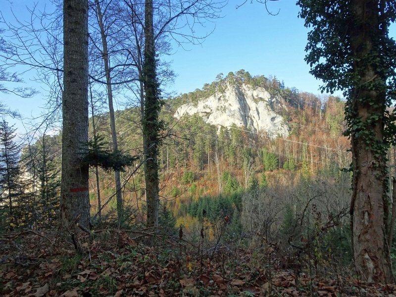 Falaise au sommet