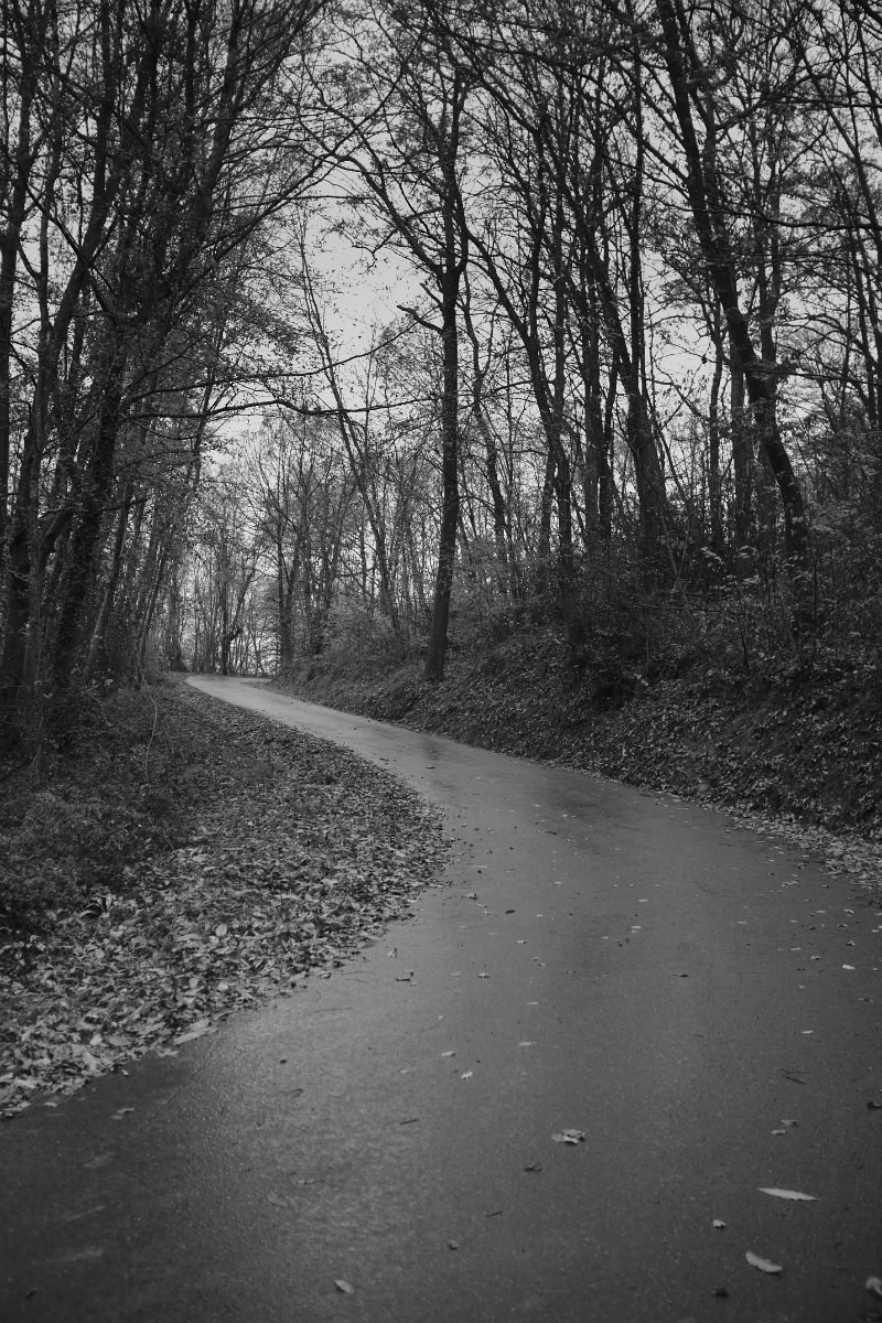 2020_12 part 1 (024).jpg