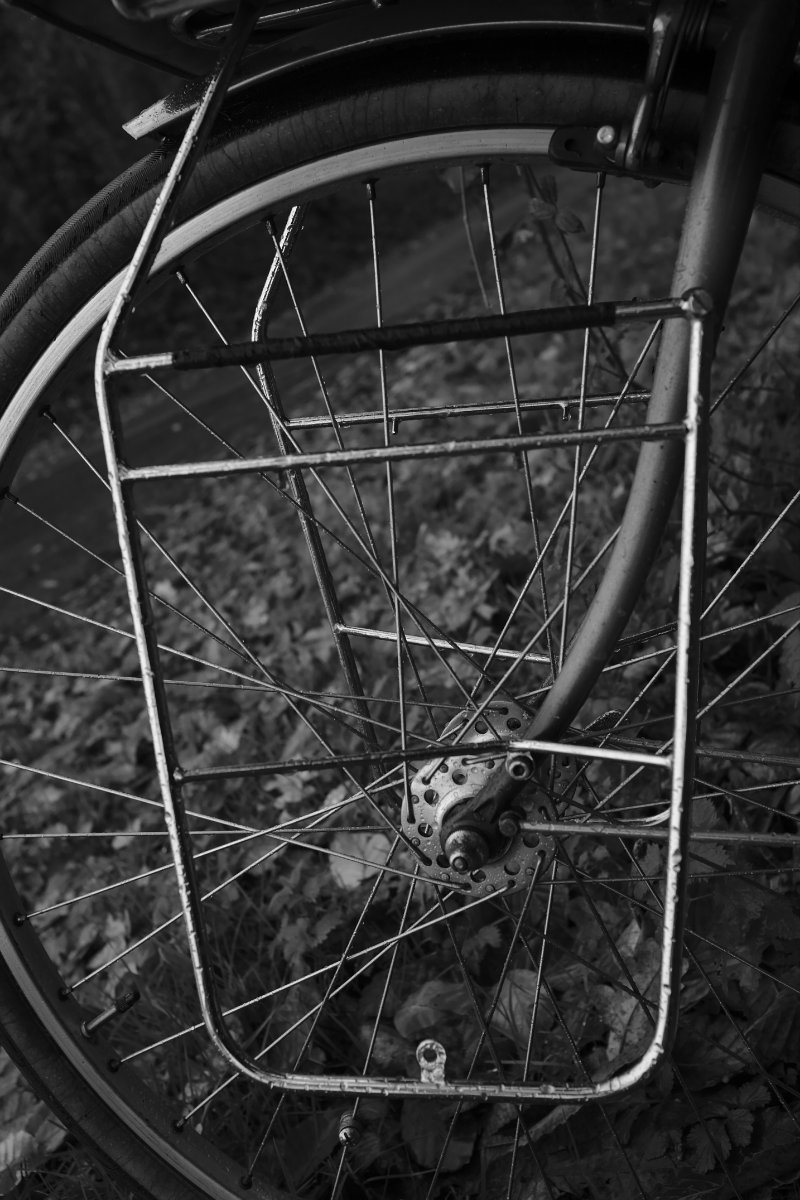 2020_12 part 1 (034).jpg