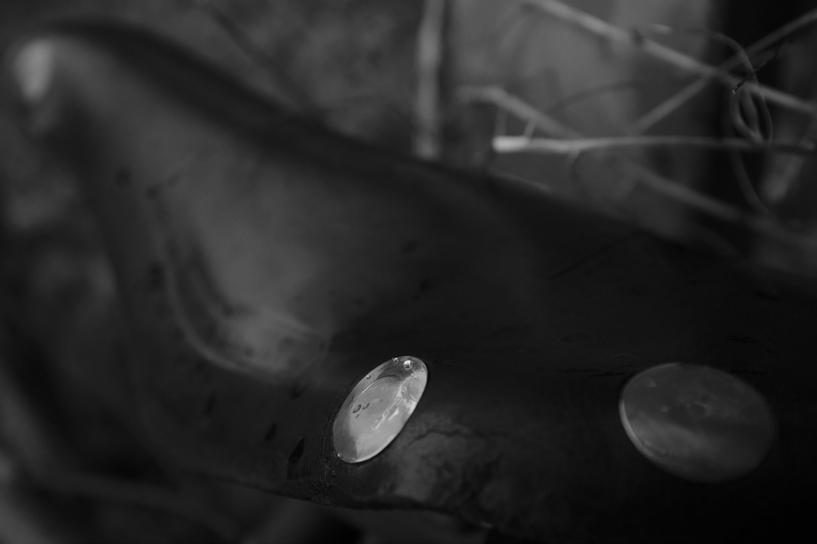 2020_12 part 1 (037).jpg
