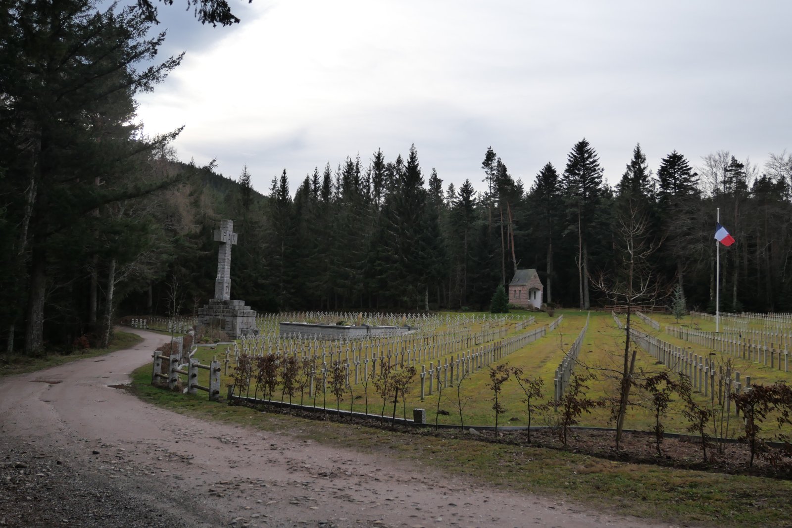 P1014050.JPG
