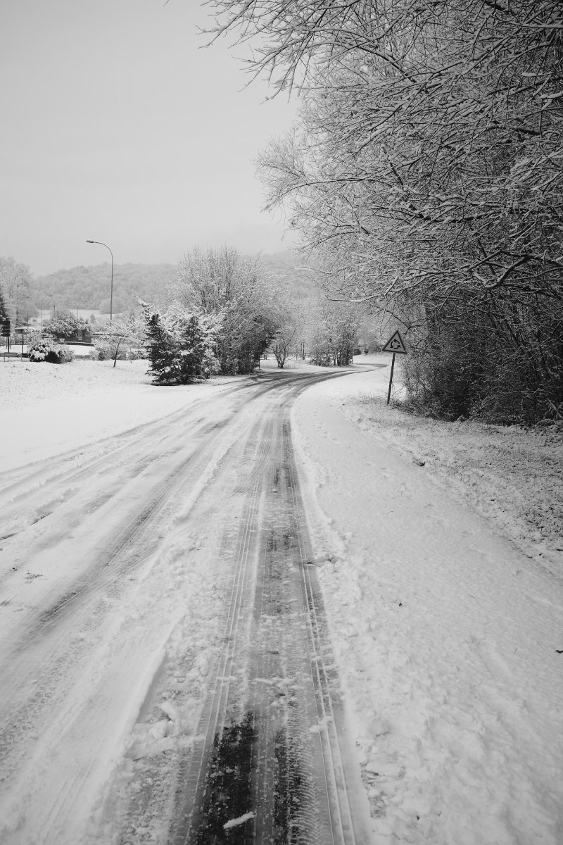 2021_01 part 1 (122).jpg
