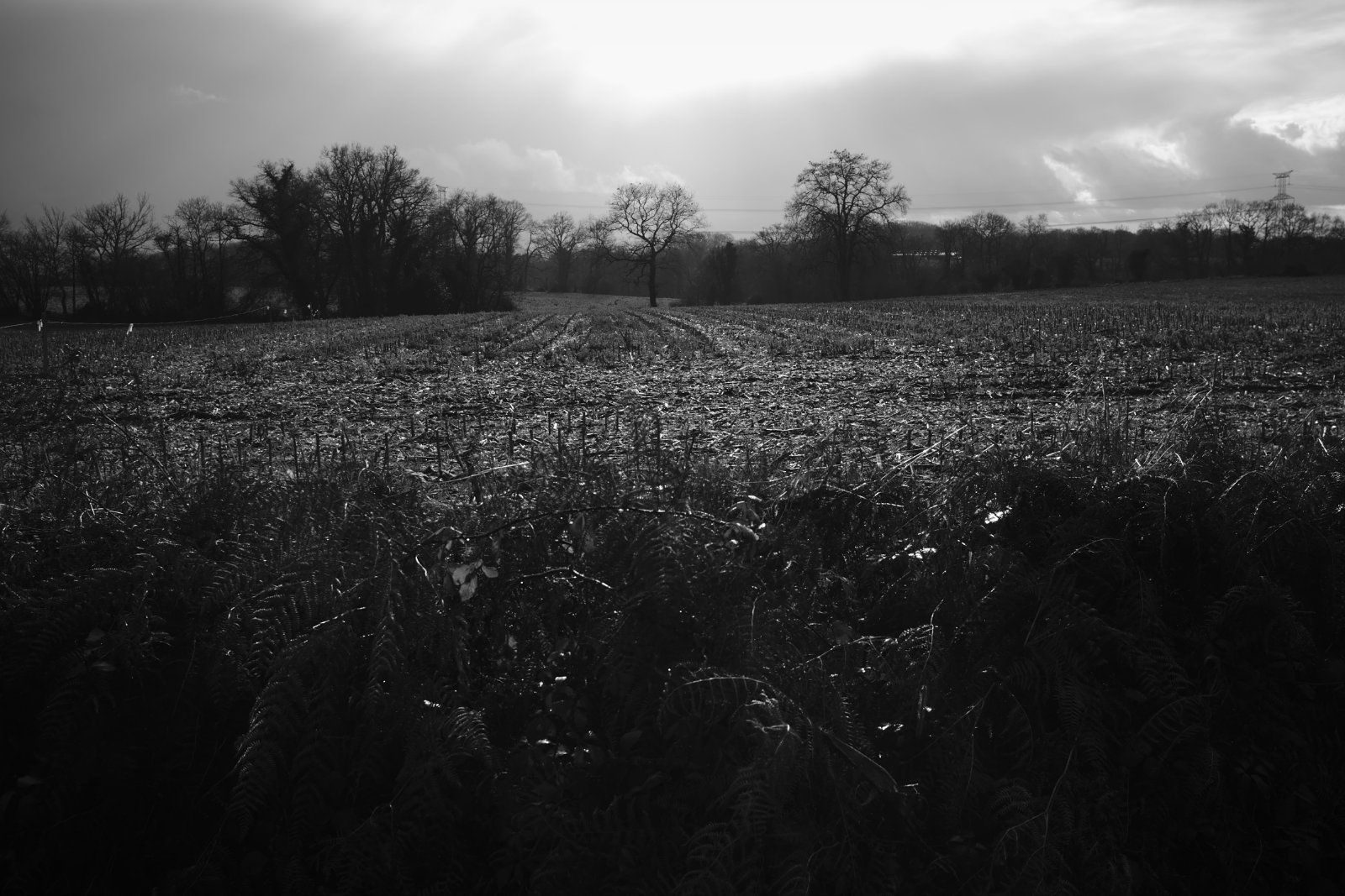 2021_01 part 2 (003).jpg