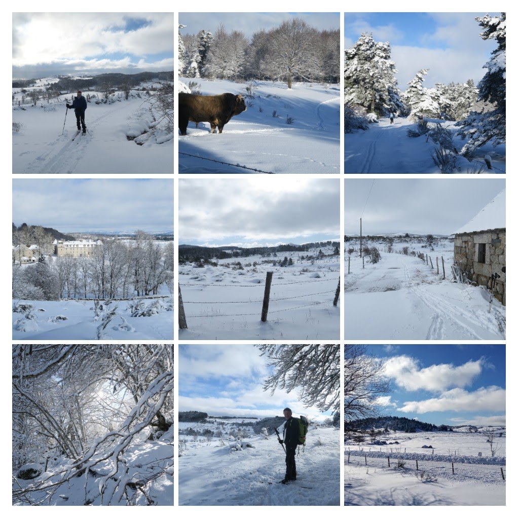Sortie en skis de rando nordique sur l'Aubrac