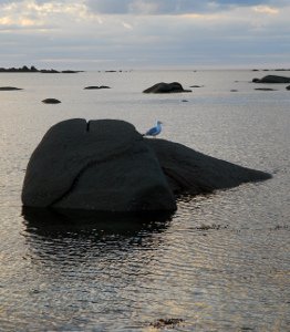 osunset2.JPG