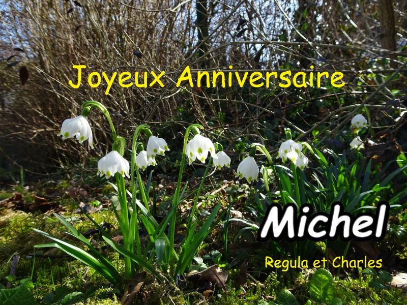Michel.jpg