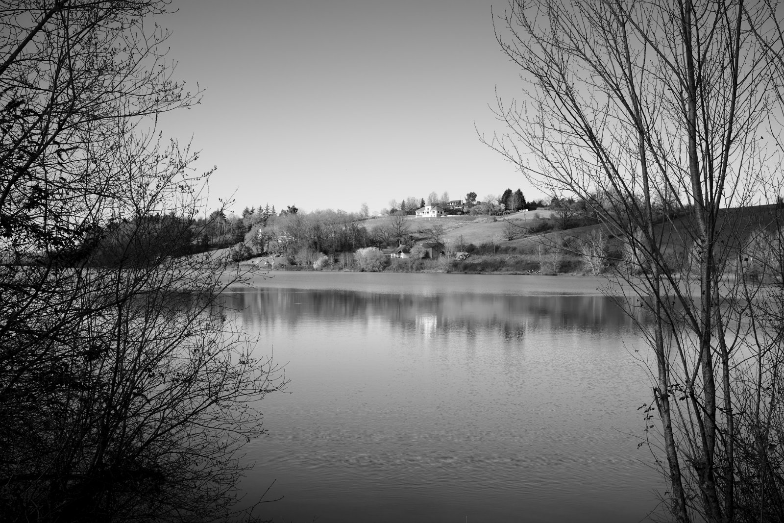 2021_02 part 5 (022).jpg