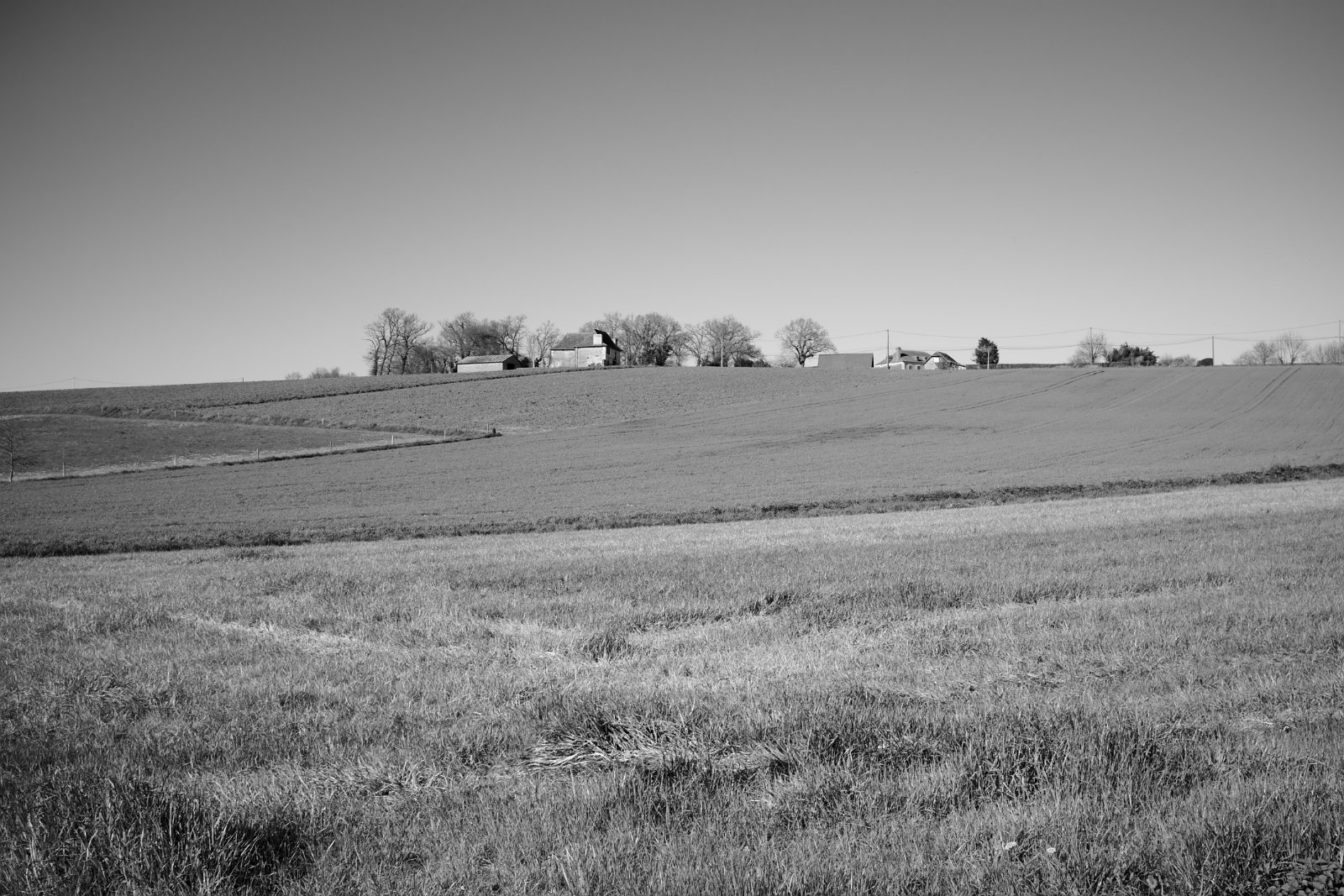 2021_02 part 5 (030).jpg