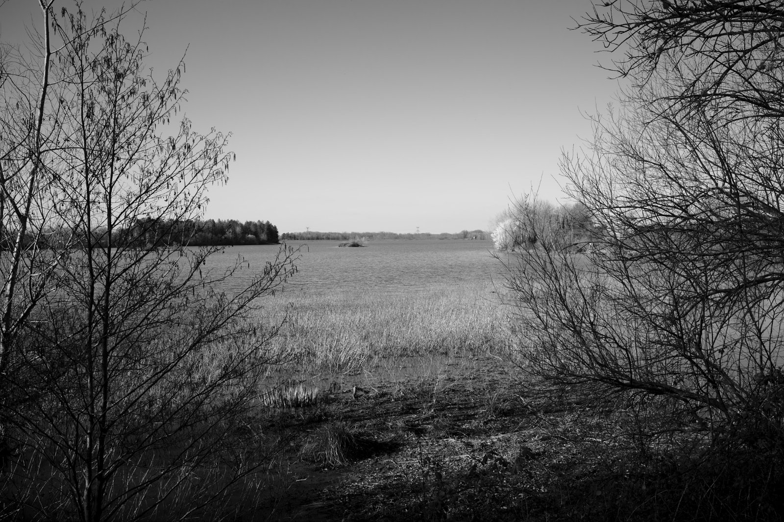 2021_02 part 5 (031).jpg
