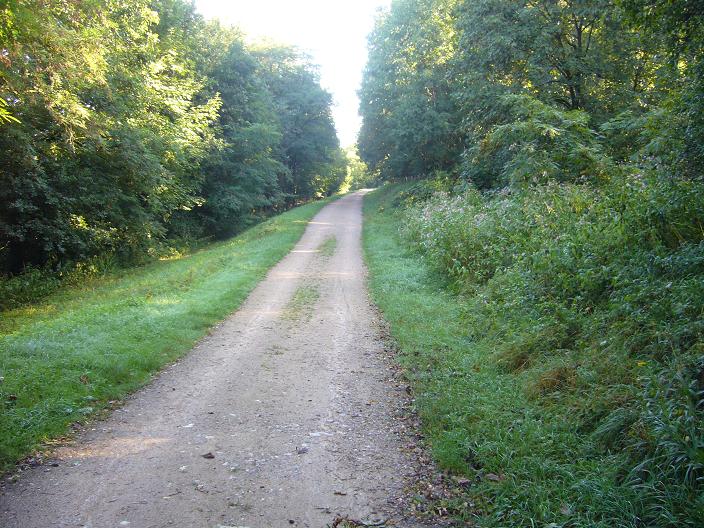 Voila à quoi ressemble la piste qui longe le Rhin sur le coté Allemand sur 260km je crois depuis la frontière Suisse.<br />C'est la que je m'entraine 3/4 fois par semaine et j'en ai pas encore marre.