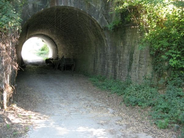 IMG_0352.JPG