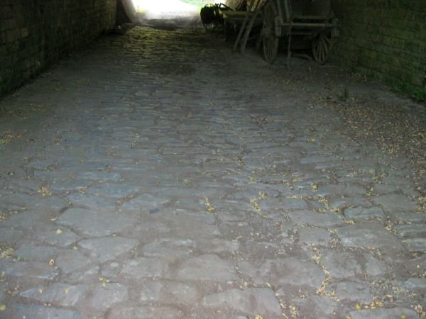 IMG_0353.JPG