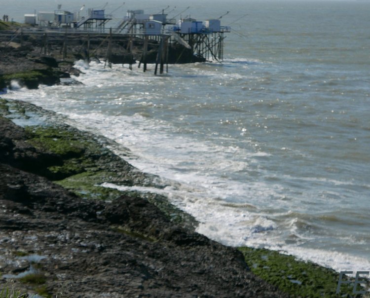 9les carrelets au matin2.JPG