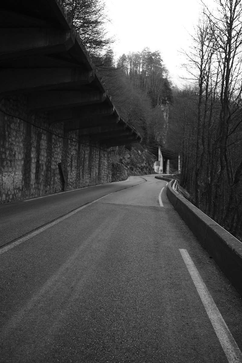 2021_04 part 2 (015).jpg