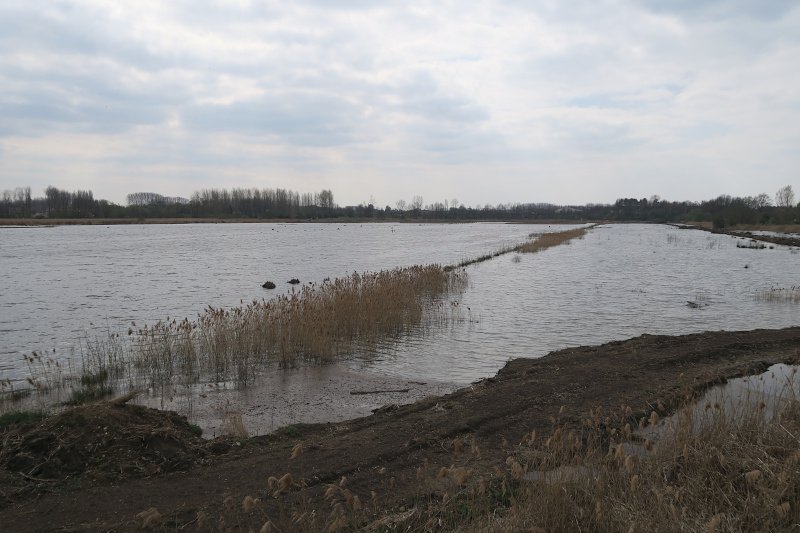 HVM06.JPG