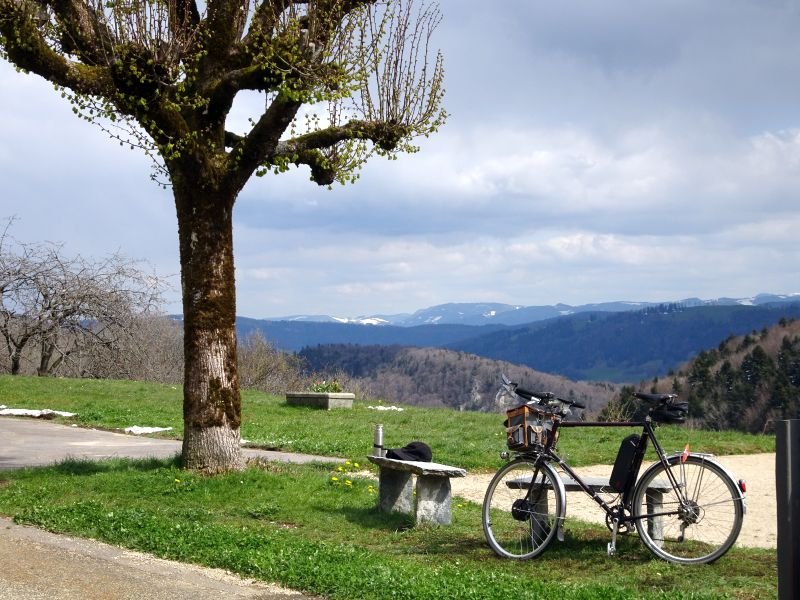 Pause à la douane