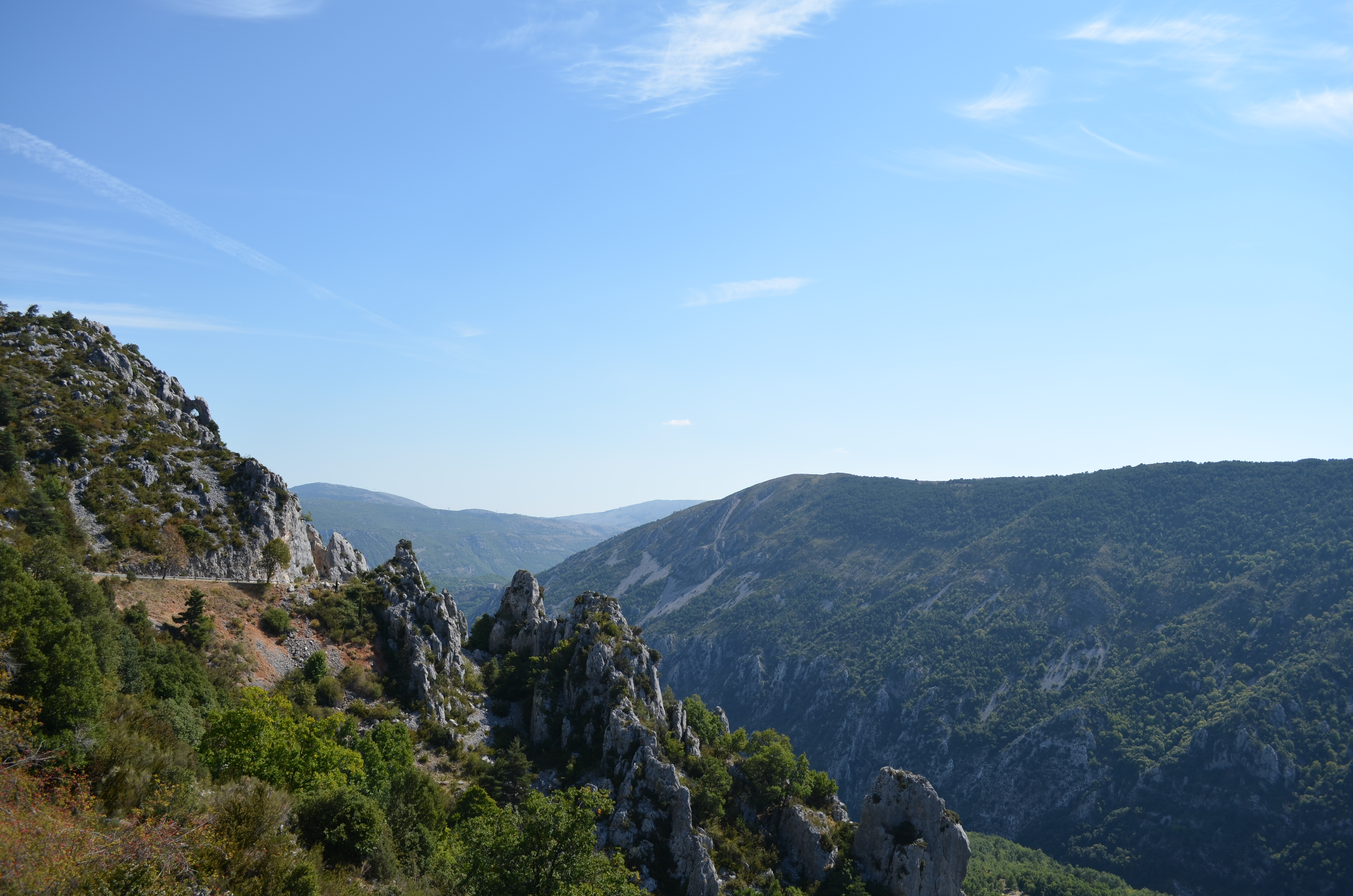 DSC_0103.JPG