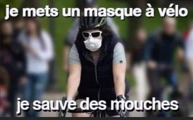 masquevelo.jpg