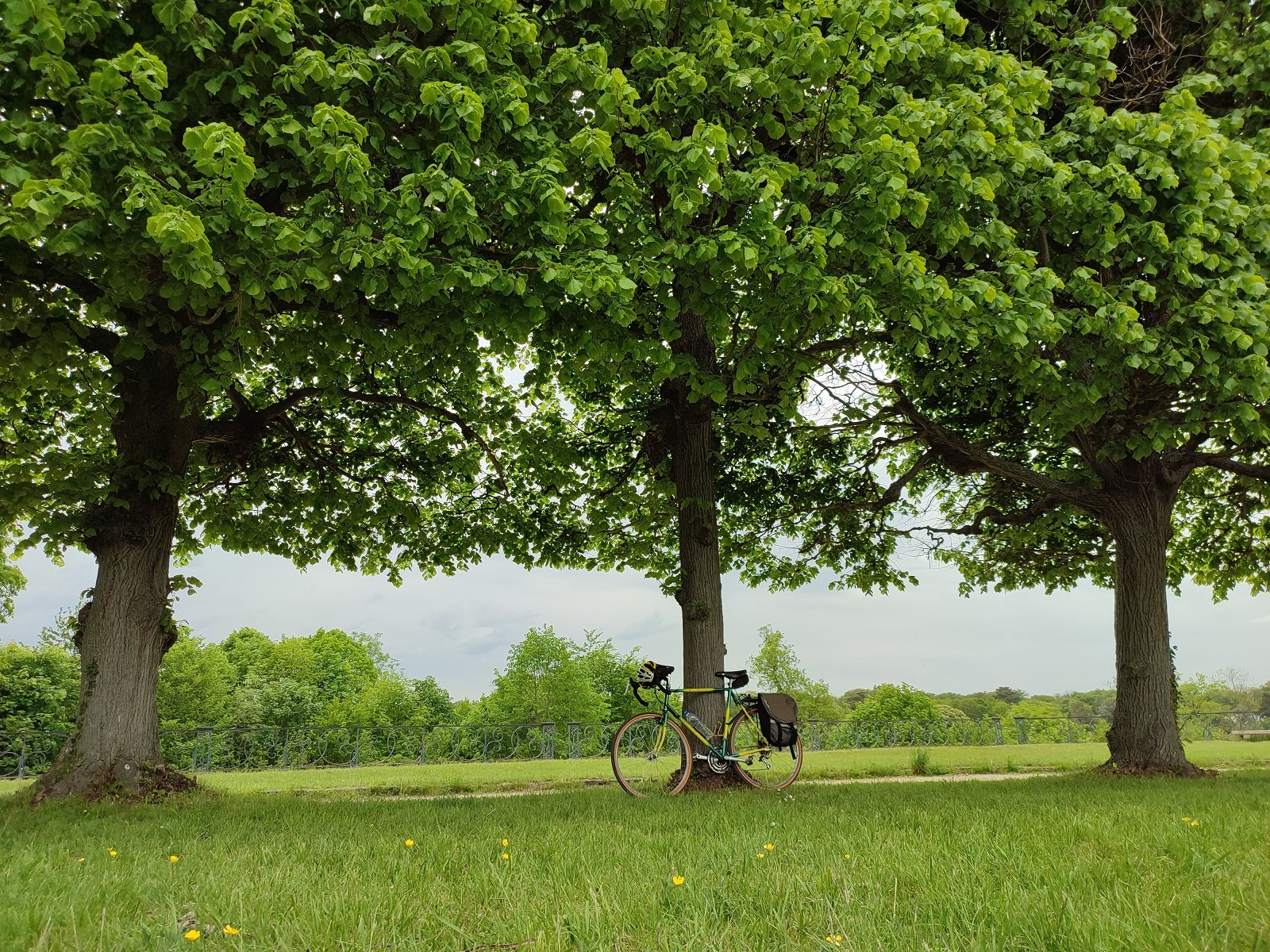 Pause dans le parc