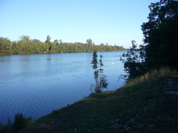 En approchant de Breisach le Rhin s’élargit un peu, il y a pas mal de petits voiliers, et de canoés.