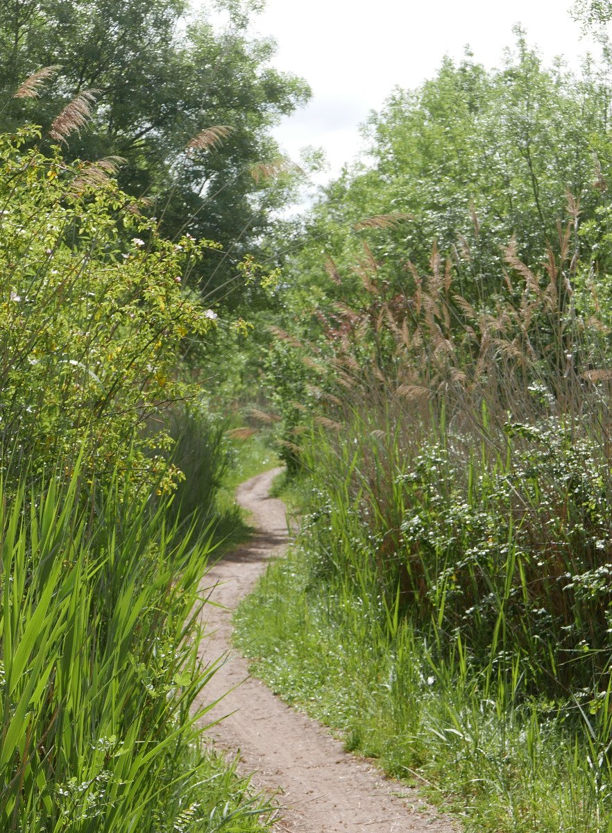 un chemin cependant très agréable