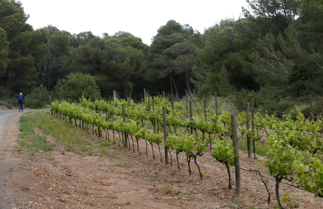 ou colline rouge