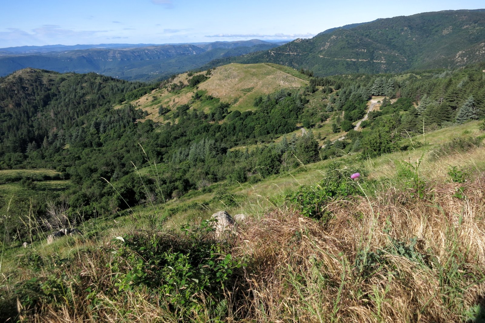 On commence les pourcentages dasn le col de la Lusette. Paysages magnifiques en prenant de la hauteur.