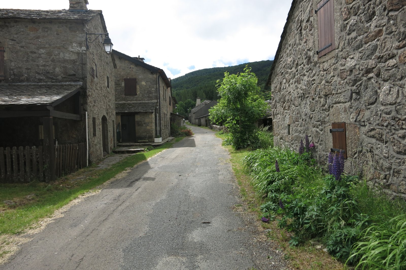 Hameau de Cabrillac, sur le versant lozérien de l'Aigoual.