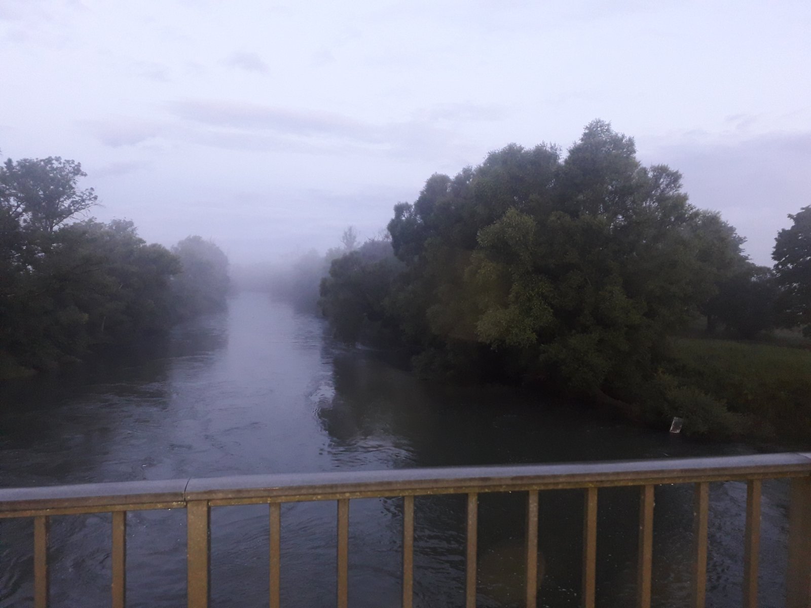 20210711_054255.jpg