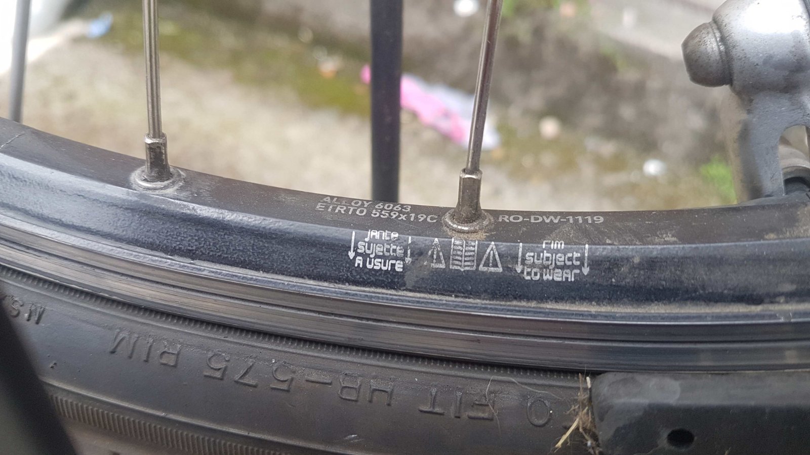 roue giant.jpg