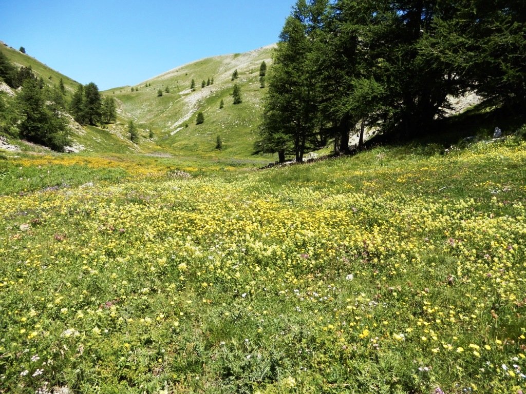 DSCN2565.JPG
