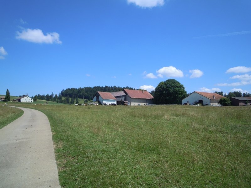 DSCN0184.JPG