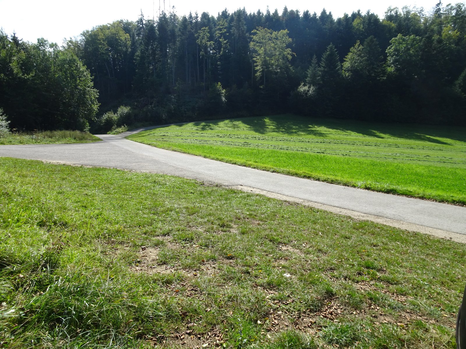 DSC02698.JPG