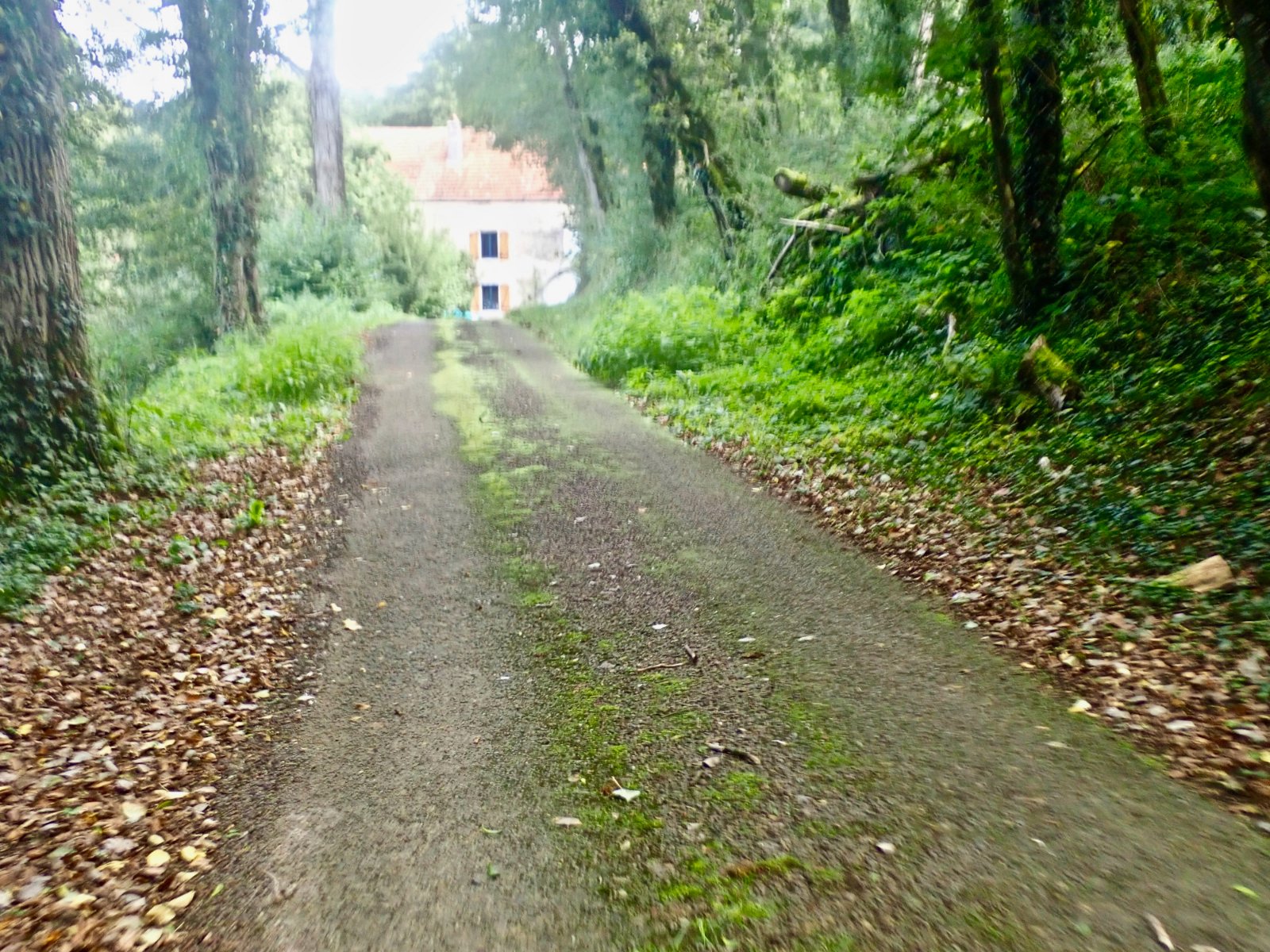 Le moulin Vy les Filain.jpg