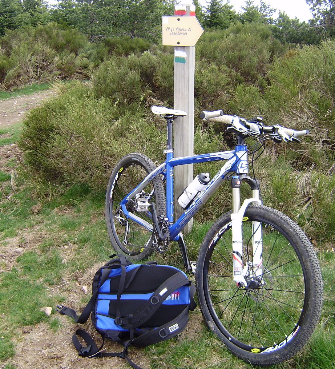 Modestine-Lapierre.JPG