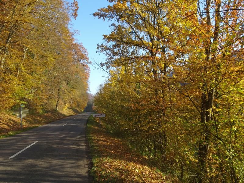 DSC02732.JPG