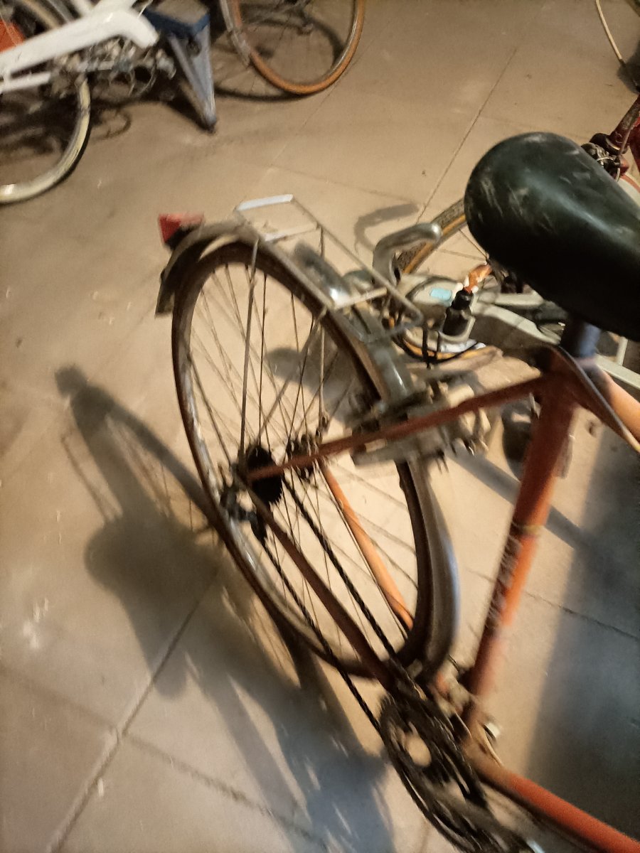 IMG20211222154955.jpg