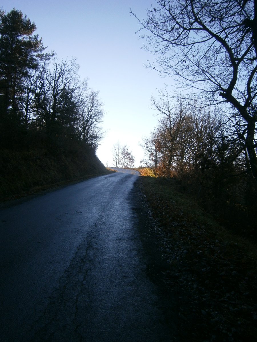 Souvent à l'ombre