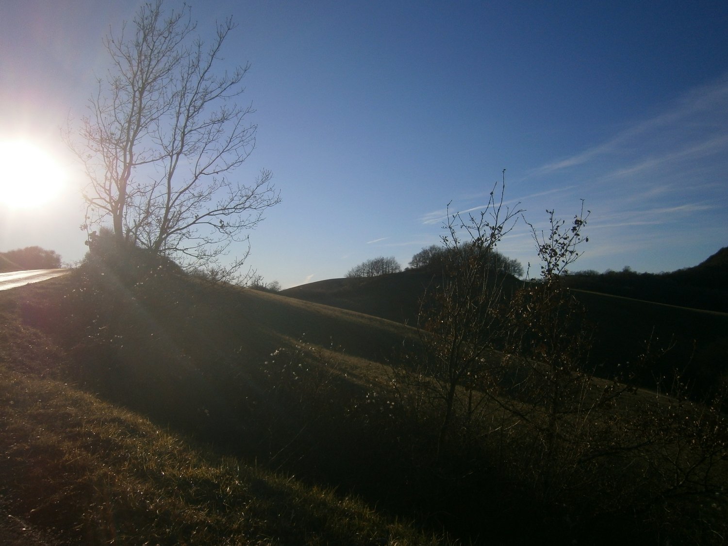 un peu au soleil