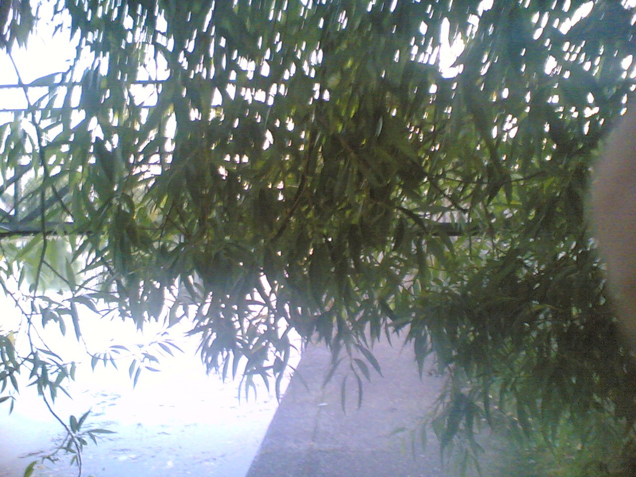 Nokia 6680 (1280x960)128078175.JPEG