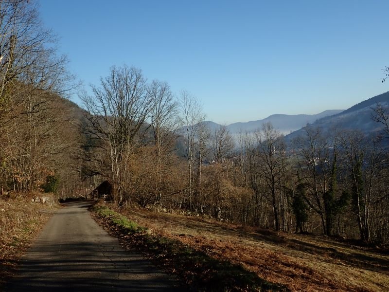 neuweg.JPG