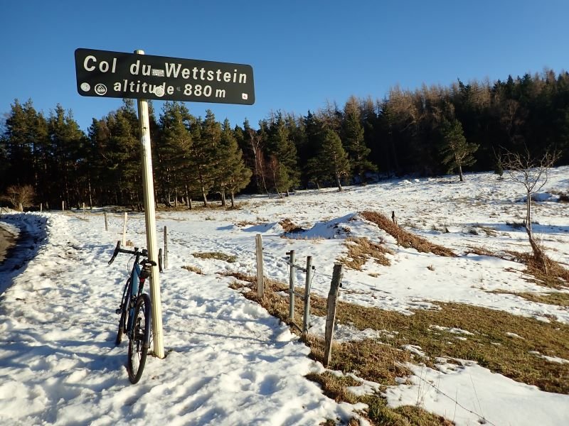col wettstein.JPG