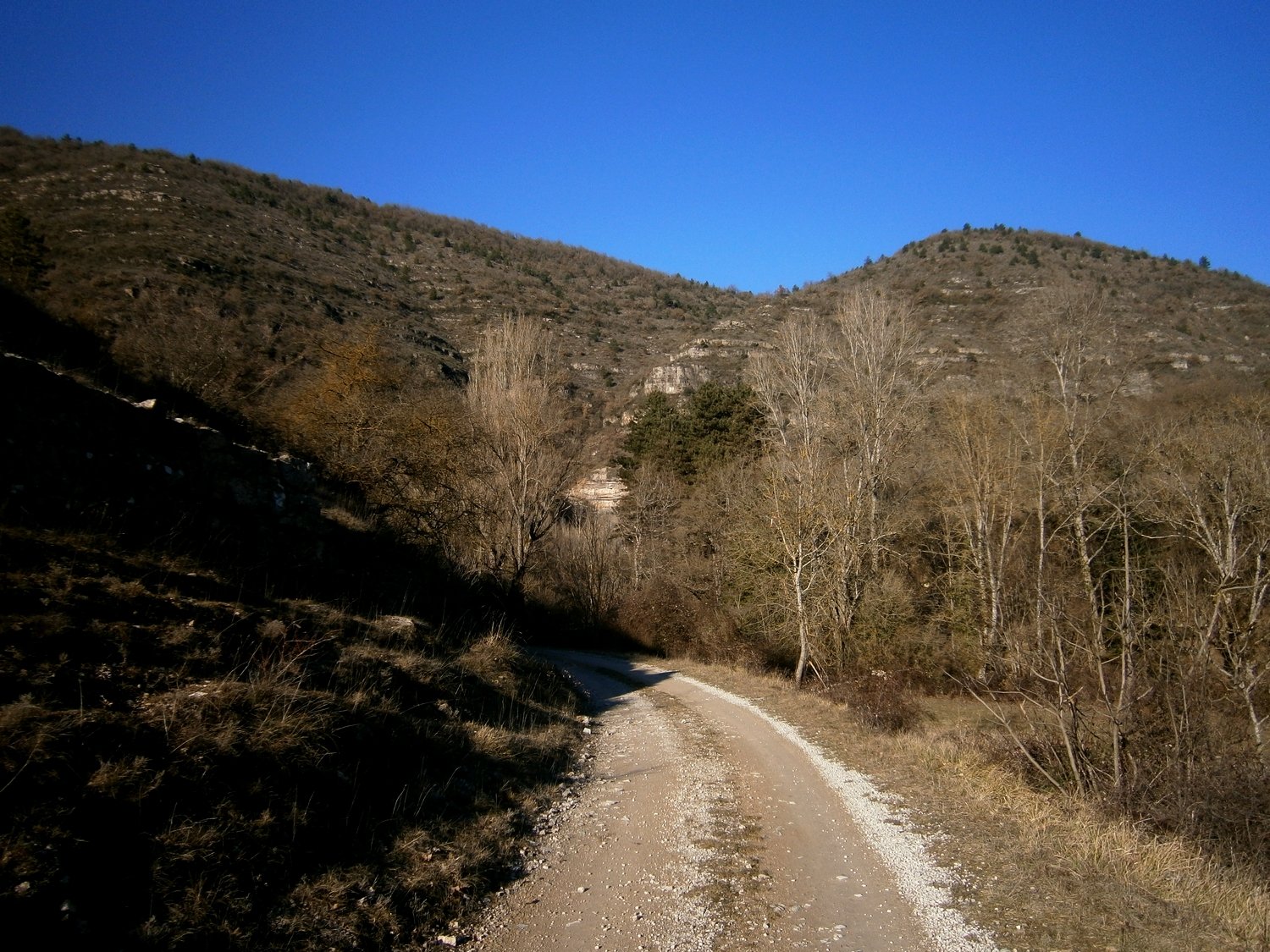 Le chemin qui remonte la vallée du Versolet.