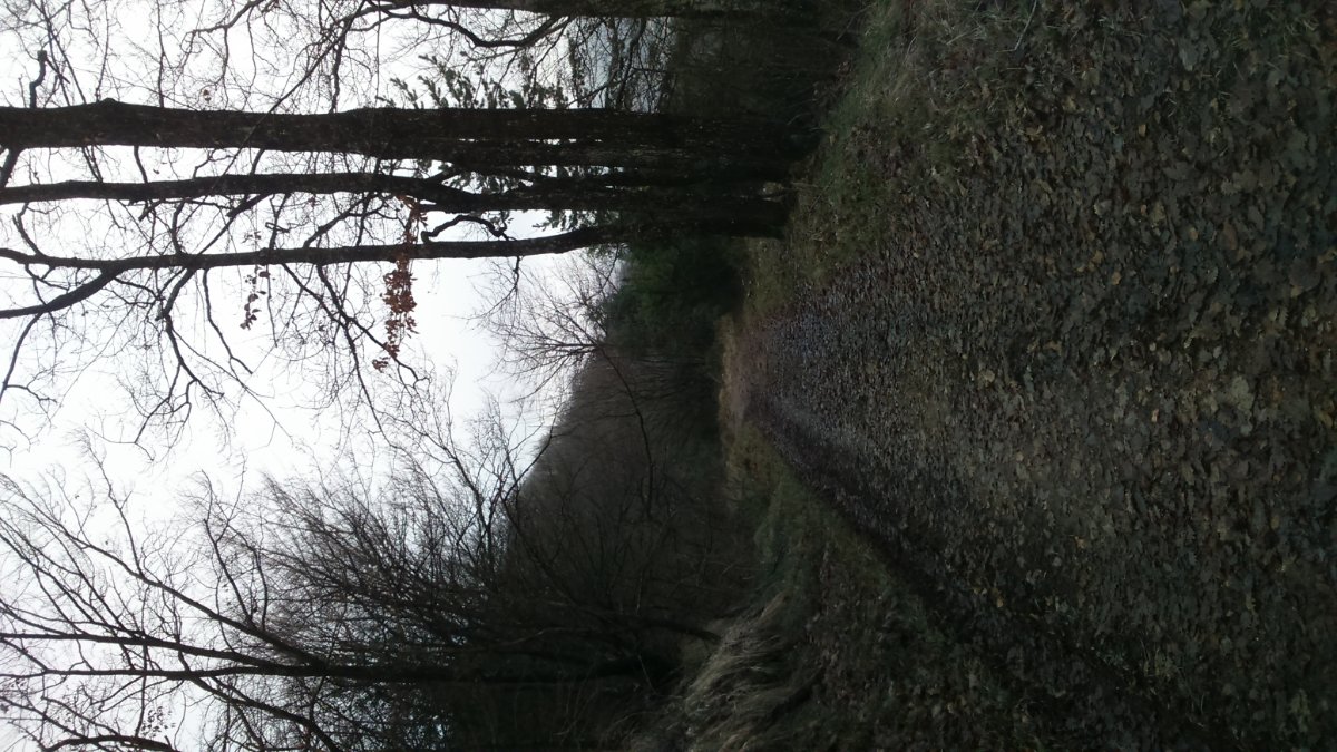 DSC_0015.JPG