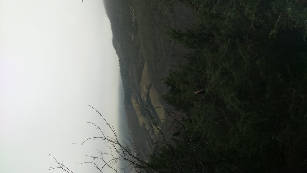 DSC_0016.JPG