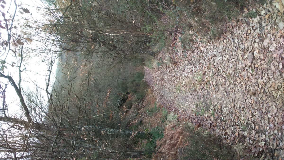 DSC_0018.JPG