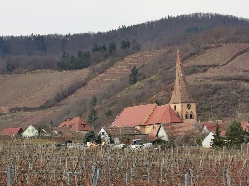 niedermorsch.jpg