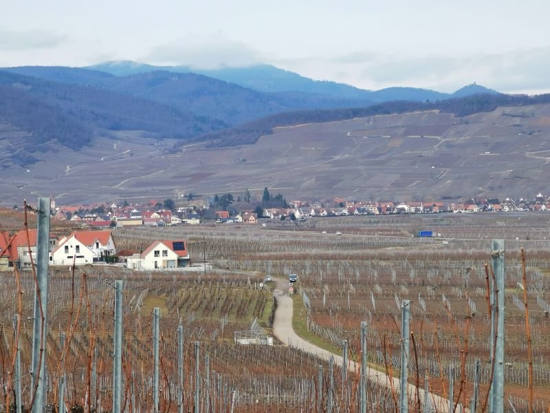 collines vers ribeau.jpg