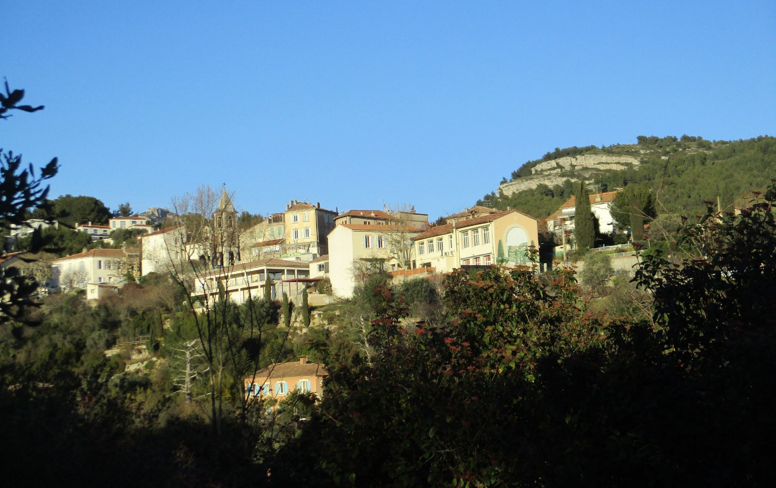 IMG_4483.JPG